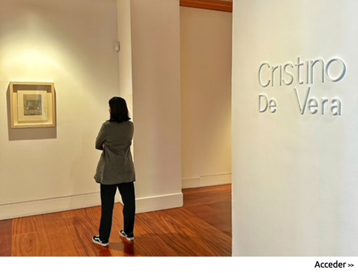 Visita comentada - Colección Cristino de Vera