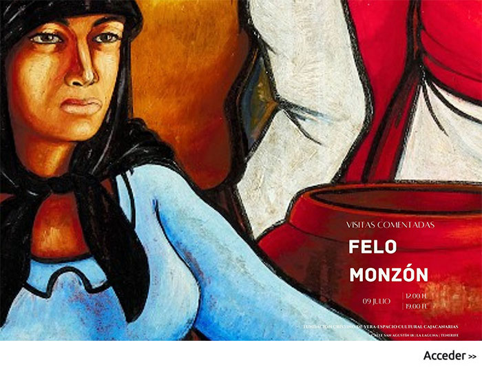 Visitas comentadas - Felo Monzón