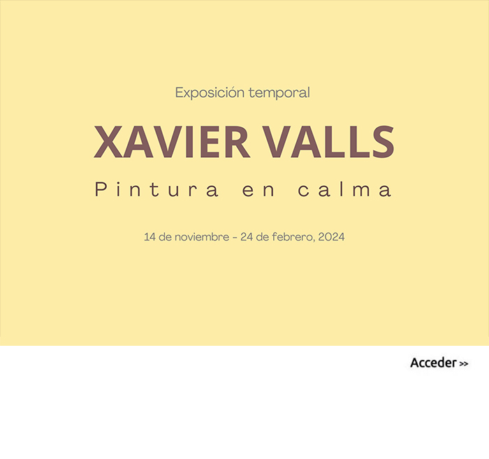 Xavier Valls