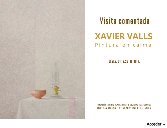 Visita comentada - Xavier Valls